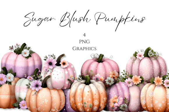 Sugar Blush Pumpkins: Redefining Autumn Aesthetics