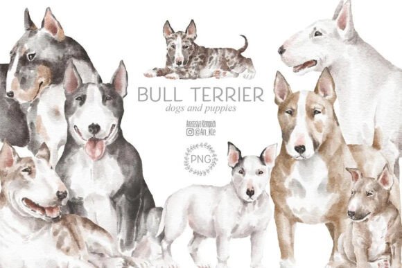 The Bull Terrier Font: A Bold Choice for Modern Branding