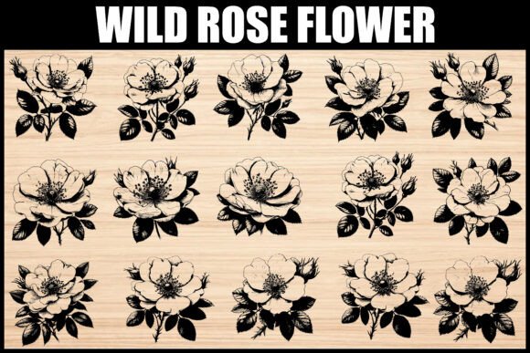 Vintage Wild Rose Flower Bundle: Your Source for Timeless Floral Vectors